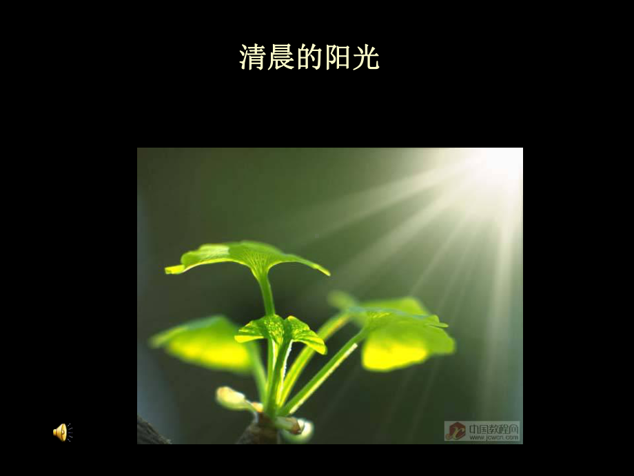 光是怎样传播的课件.ppt_第3页