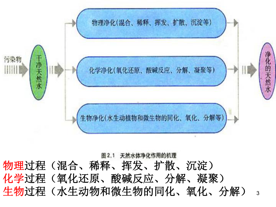 (地理)水污染及其成因PPT课件.ppt_第3页