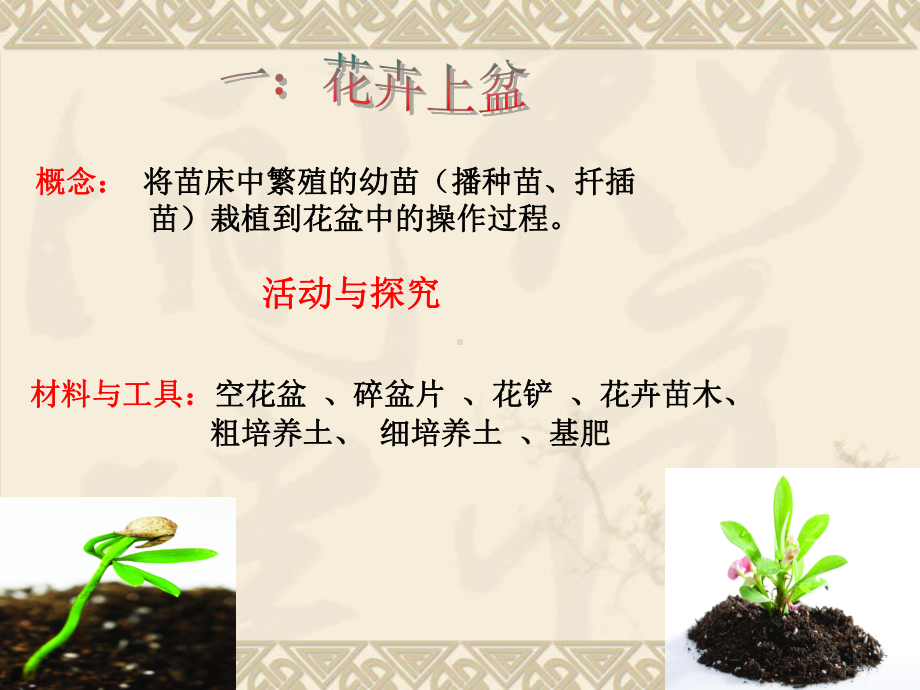 花卉上盆与换盆课件.ppt_第2页