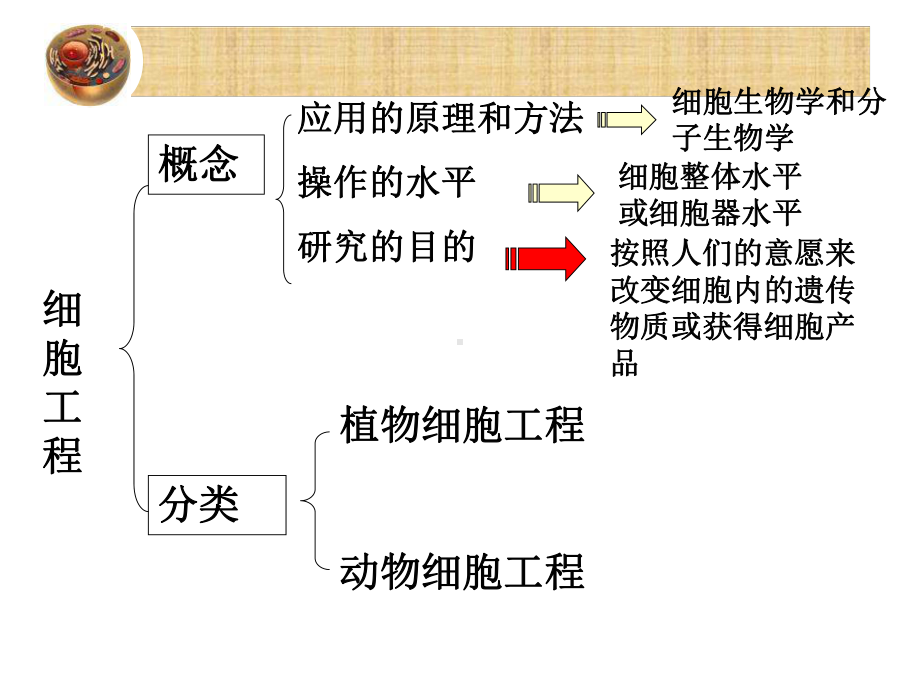 2.1植物细胞工程课件usr.ppt_第3页