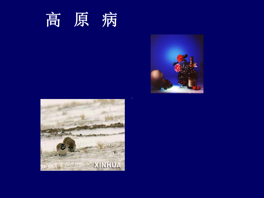 高原病ppt课件.ppt_第1页