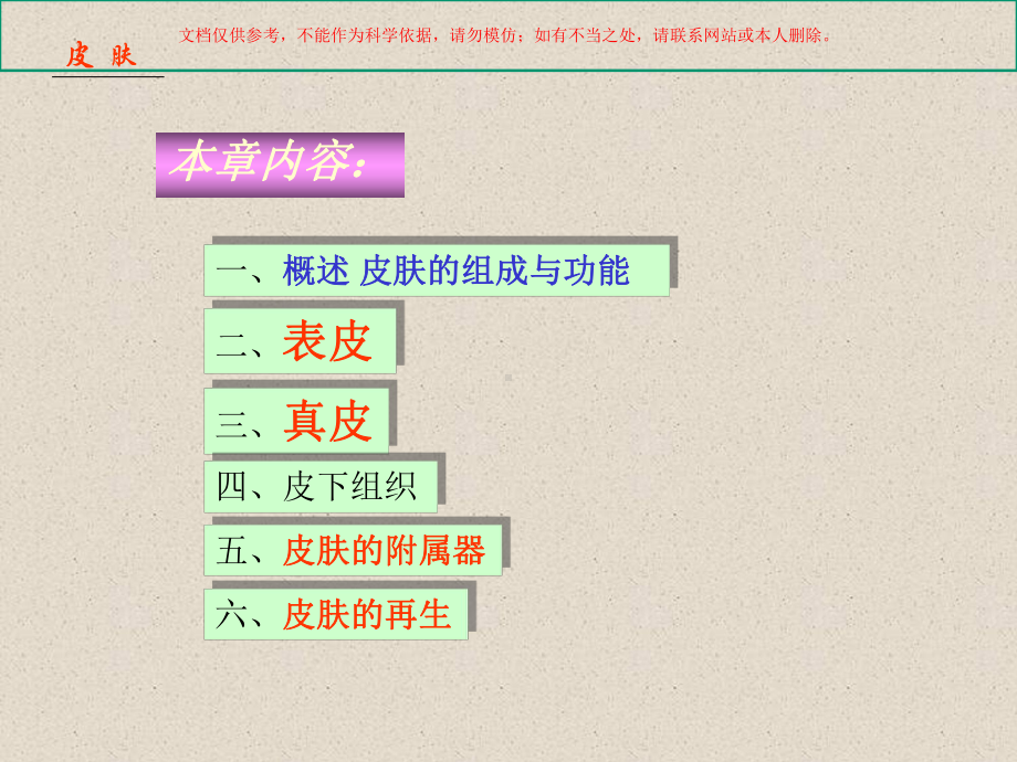 皮肤专业知识讲座课件.ppt_第1页