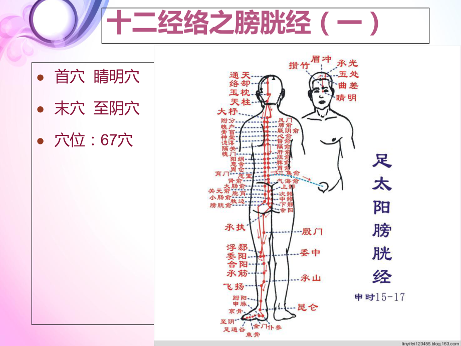 十二经络和任督二脉课件.ppt_第3页