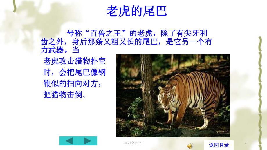 动物的尾巴ppt课件(同名1485).ppt_第3页