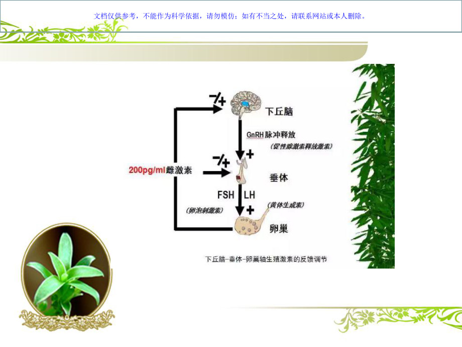 解读性激素项课件.ppt_第2页