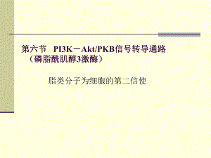 第六节-PI3K-Akt-PPT课件.ppt