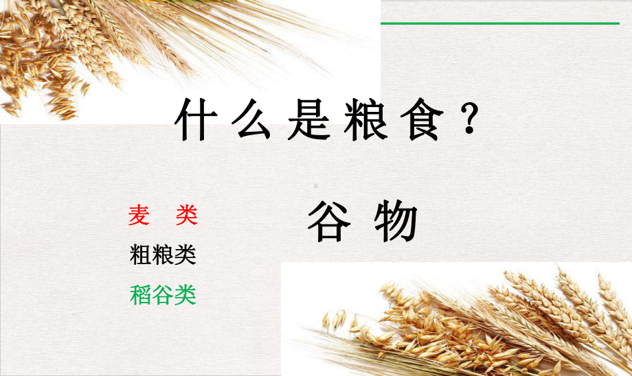 节粮爱粮主题班会课件完整版.ppt_第2页