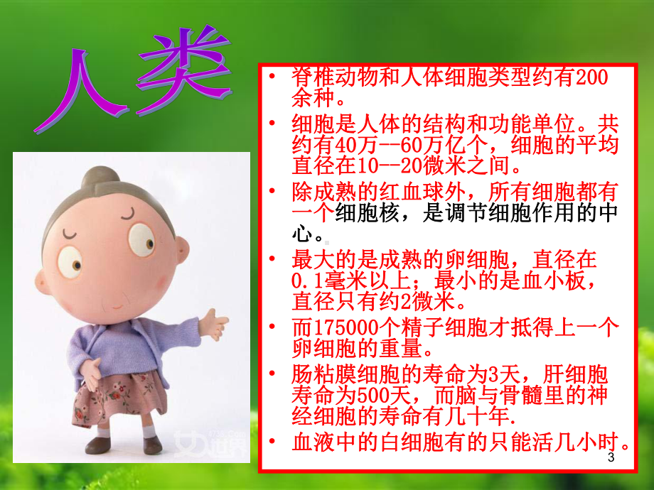 辅酶Q幻灯课件.ppt_第3页