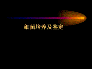 细菌的培养及鉴定PPT课件.ppt