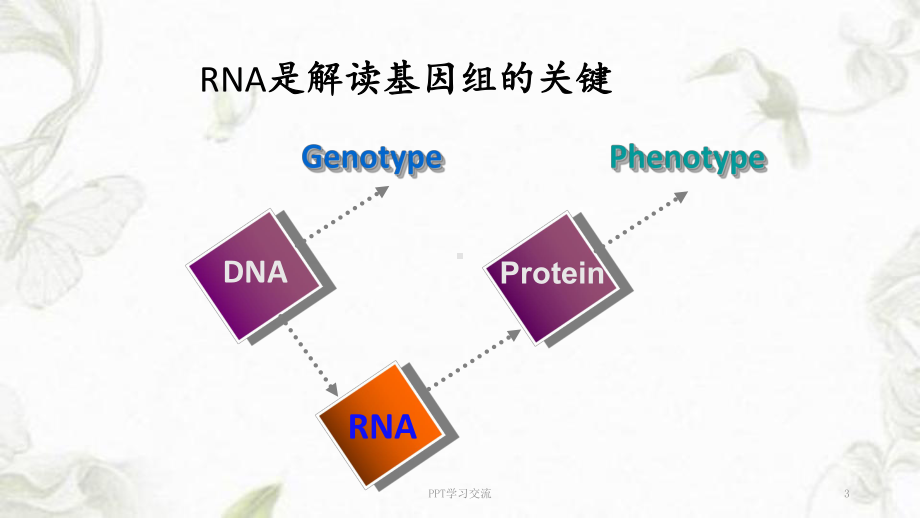 系统生物学-第三讲-转录组学课件.ppt_第3页