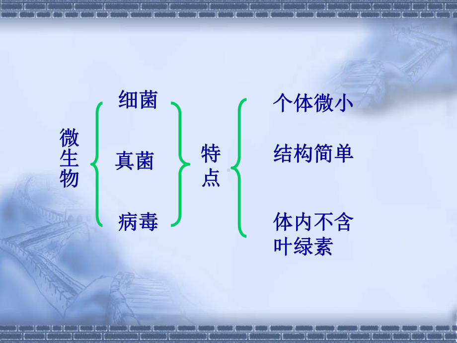 细菌精选教学PPT课件.ppt_第2页