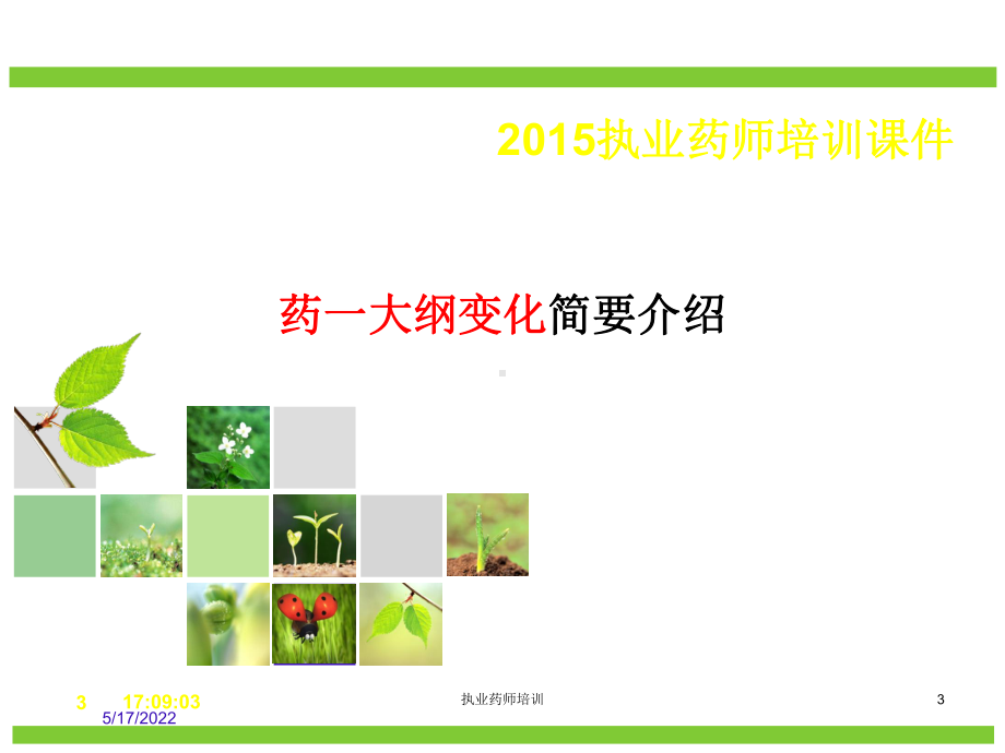 执业药师培训培训课件.ppt_第3页