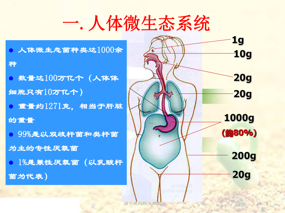 益生菌的相关知识PPT课件.ppt_第3页