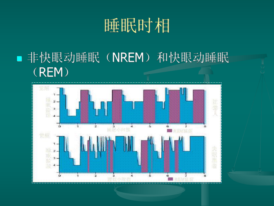 睡眠与睡眠障碍-PPT课件.ppt_第3页