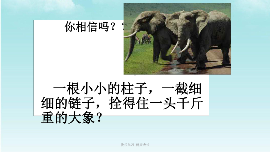 快乐学习-健康成长课件.ppt_第2页