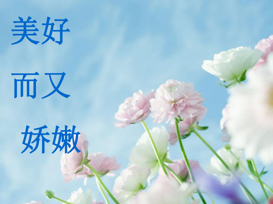 东沟中心小学-女童保护课件.ppt_第3页