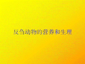 反刍动物的营养和生理培训课件.ppt