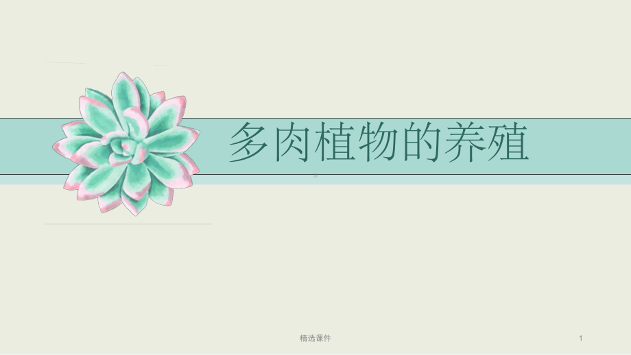 多肉植物的养殖ppt课件(同名1528).ppt_第1页