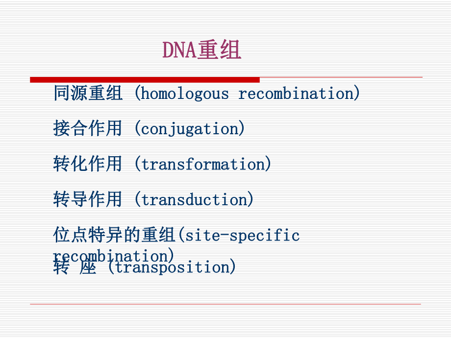 基因重组ppt课件.ppt_第3页