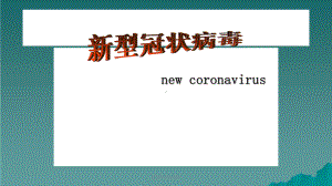 新冠状病毒最新课件.ppt