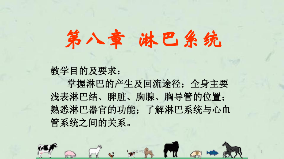 家畜淋巴系统课件.ppt_第1页