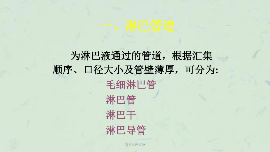 家畜淋巴系统课件.ppt_第3页