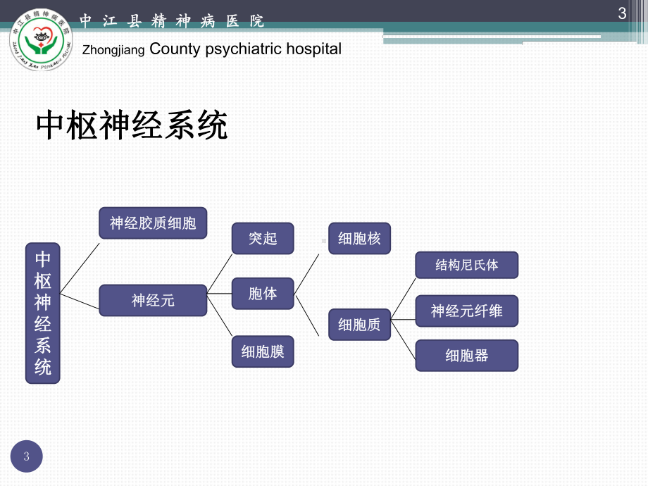 多巴胺通路与精神病效应PPT课件.pptx_第3页