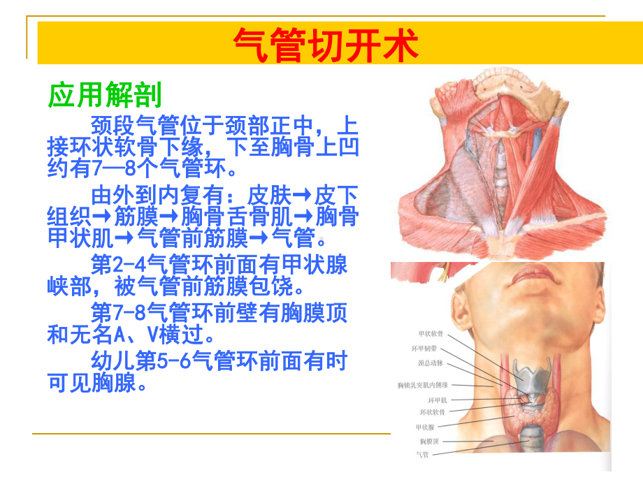 气管切开PPT课件(同名2118).ppt_第3页