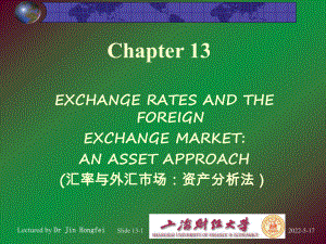 上财国际金融系主任金洪飞国际金融课件Chapter-13.ppt