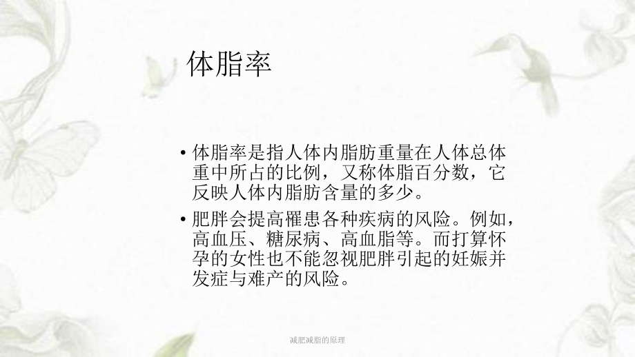 减肥减脂的原理ppt课件.ppt_第2页