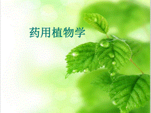 药用植物学-ppt课件.ppt