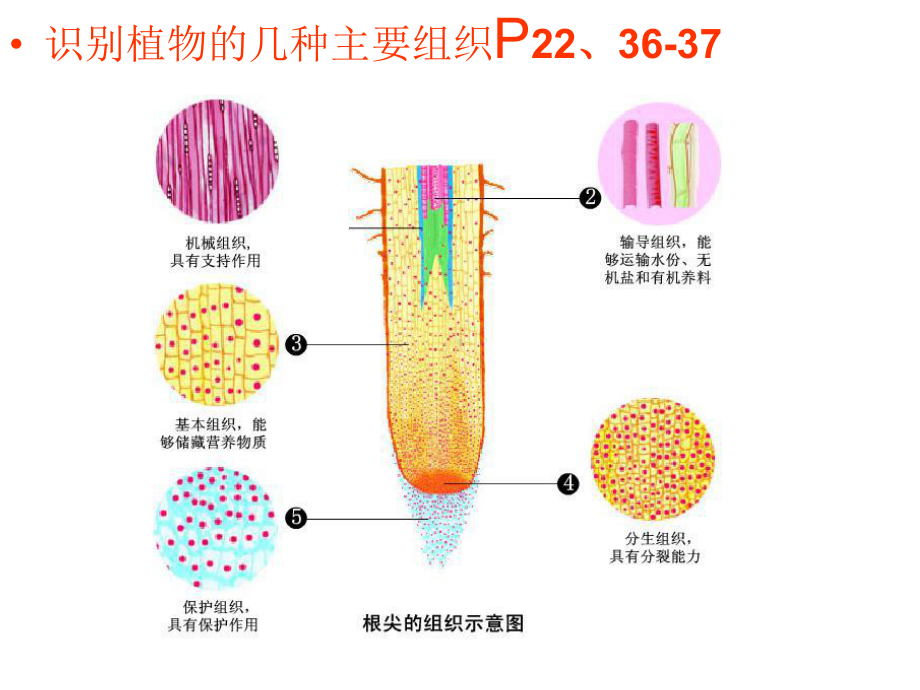 七下8-9-章复习课件.ppt_第3页