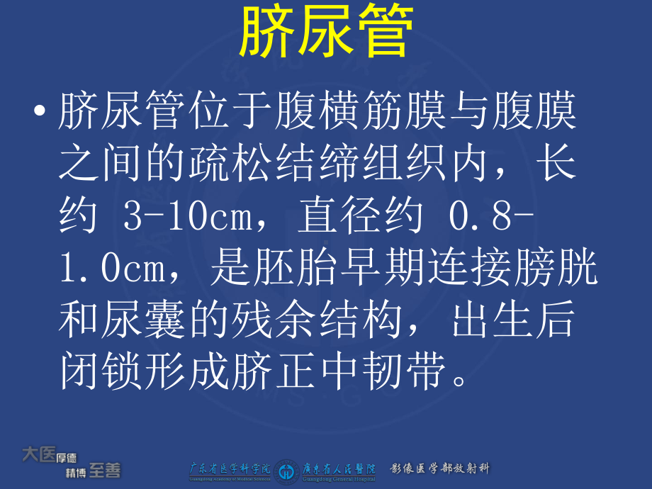 脐尿管囊肿PPT课件.ppt_第2页