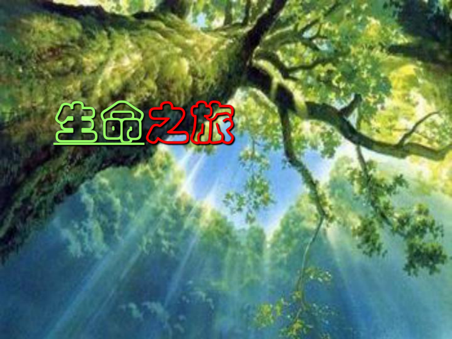 生命教育讲座-PPT课件.ppt_第1页