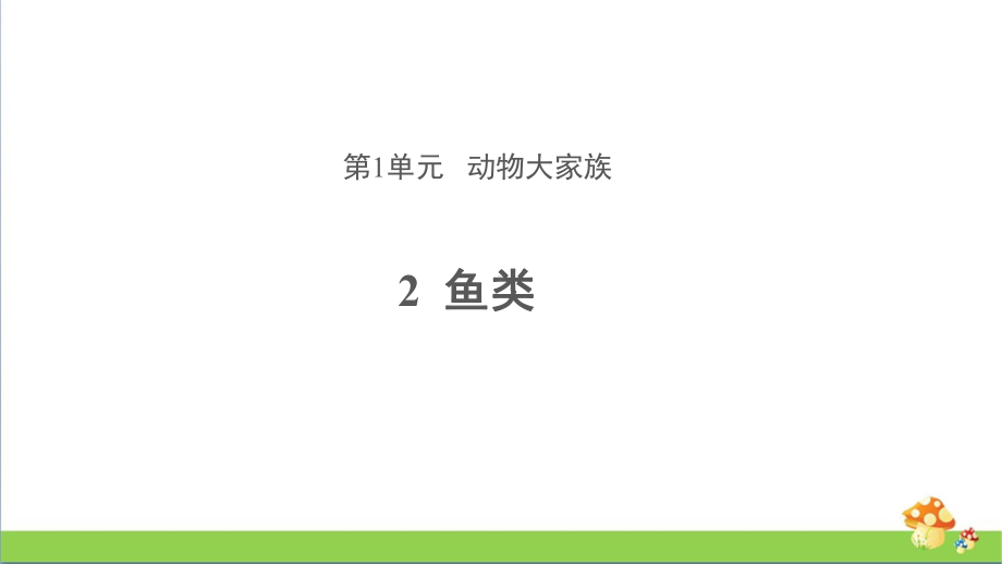 苏教版四年级上科学2鱼类教学课件.pptx_第1页