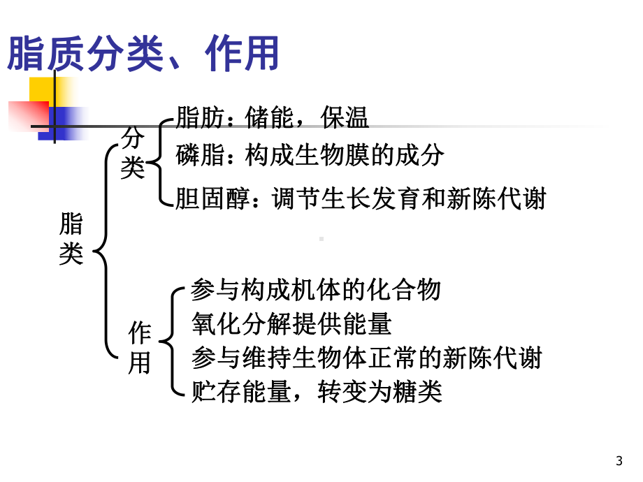 机体血脂代谢及其调节的意义PPT课件.ppt_第3页