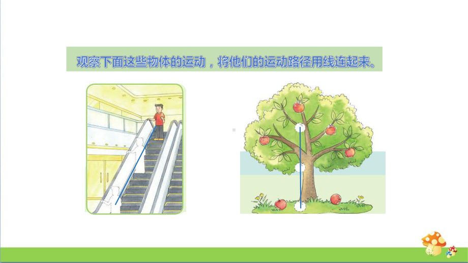 苏教版四年级上科学2.6不同的运动.pptx_第3页