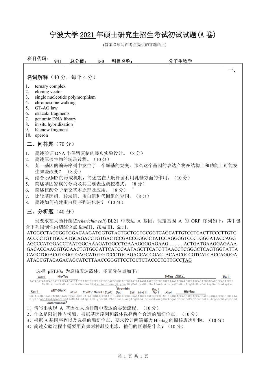 2021年宁波大学硕士考研真题941分子生物学.doc_第1页