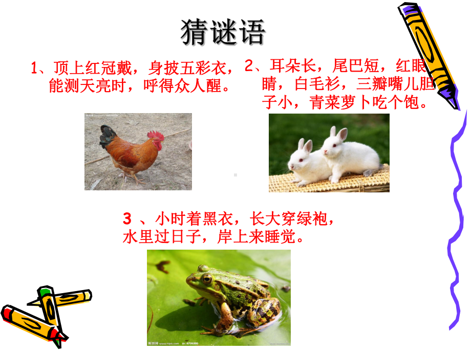 作文指导-写一种小动物PPT课件(1).ppt_第2页