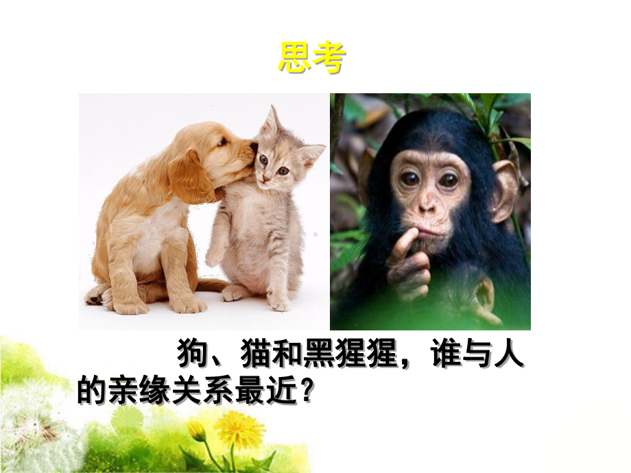 《人类的进化》课件2.ppt_第3页