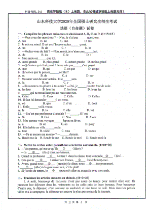 山东科技大学2019年硕士研究生自命题试题241法语.pdf