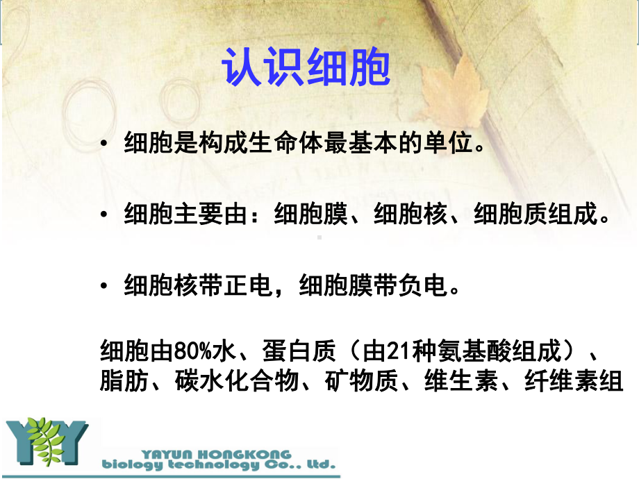 皮肤生理学和皮肤问题课件.ppt_第1页