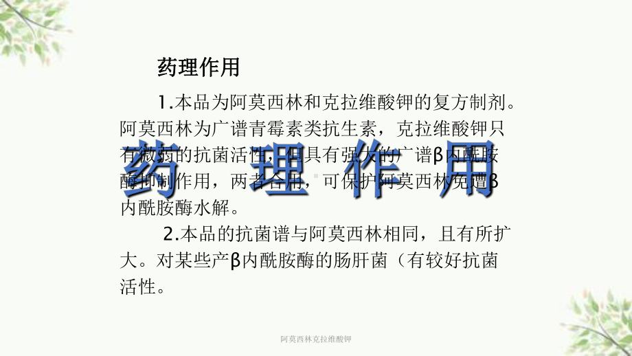 阿莫西林克拉维酸钾ppt课件.ppt_第3页