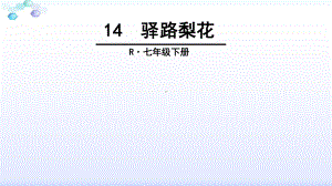 部编版七年级下册-驿路梨花-课件.ppt