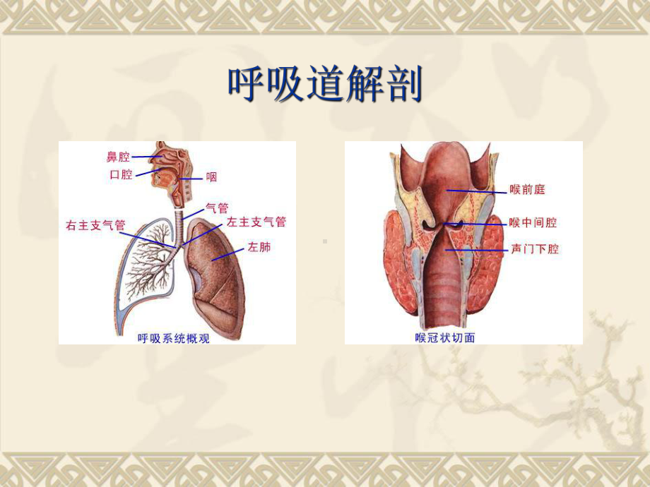 ICU人工气道病人的有效吸痰-PPT课件.ppt_第2页