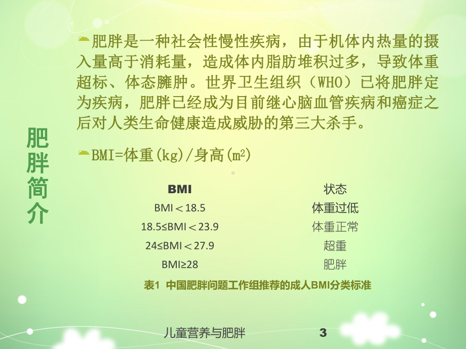 儿童营养与肥胖培训课件.ppt_第3页