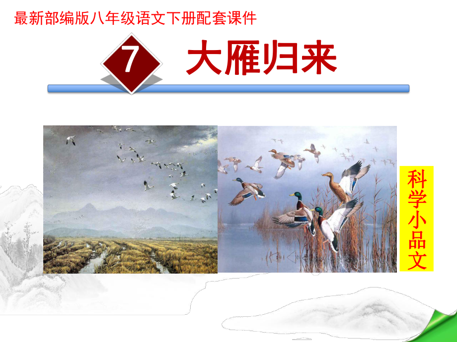 大雁归来PPT课件.ppt_第1页