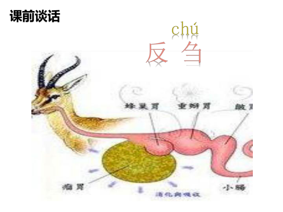 沪教版二年级上册《数学》-4.10 乘法 除法二（有余数的除法、计算）ppt课件.pptx_第3页