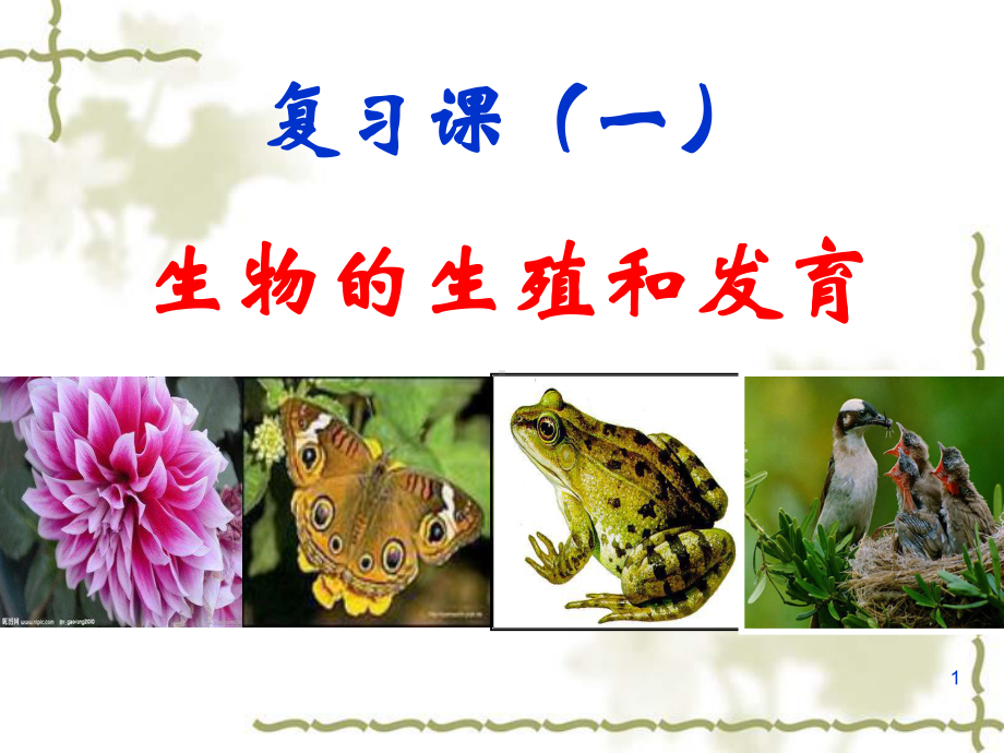 (复习课件)第一章生物的生殖和发育.ppt_第1页