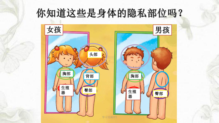 小学防性侵安全教育课件.ppt_第2页